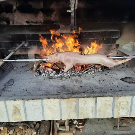 Opg Dragoslavic Apartment