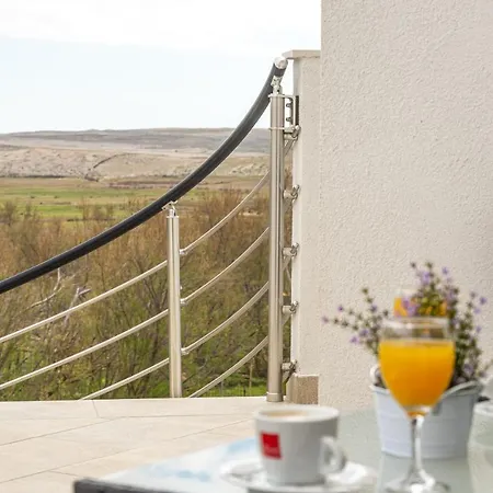 Opg Dragoslavic Stara Vas