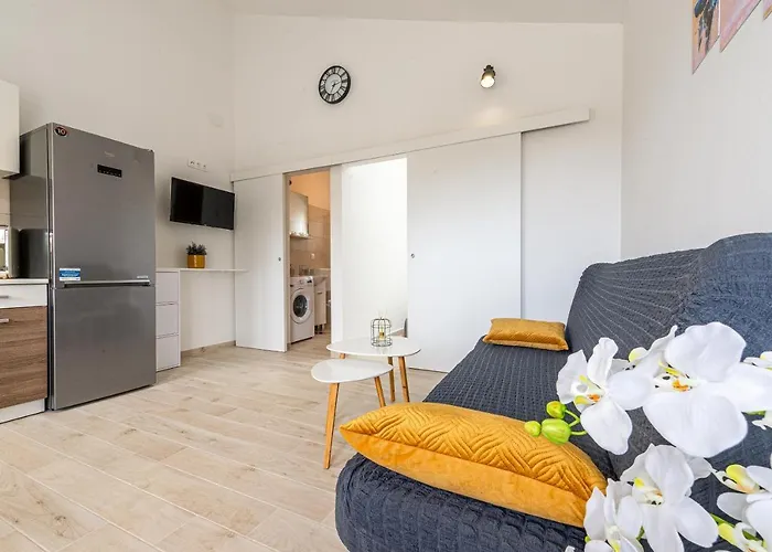 Opg Dragoslavic Apartman Stara Vas