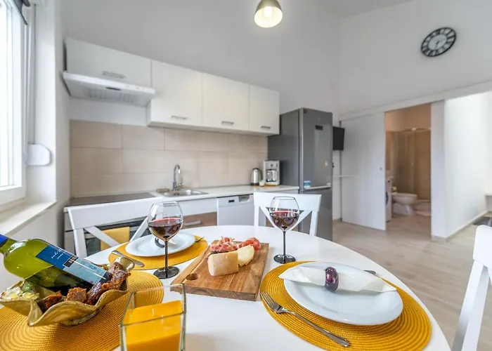 Opg Dragoslavic Apartman Stara Vas