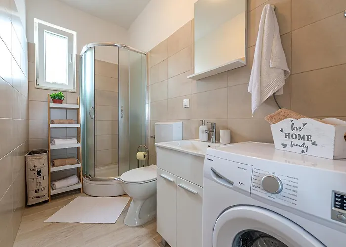 Opg Dragoslavic Apartman Stara Vas