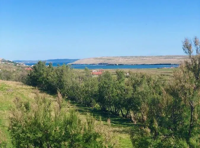 Opg Dragoslavic Apartman Stara Vas